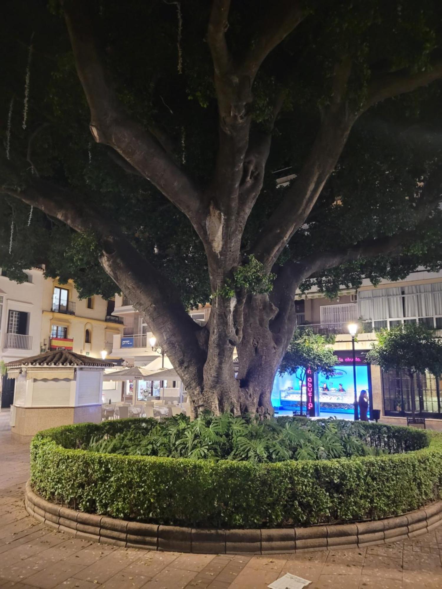 Fuengirola Center Sweet&Beach מראה חיצוני תמונה