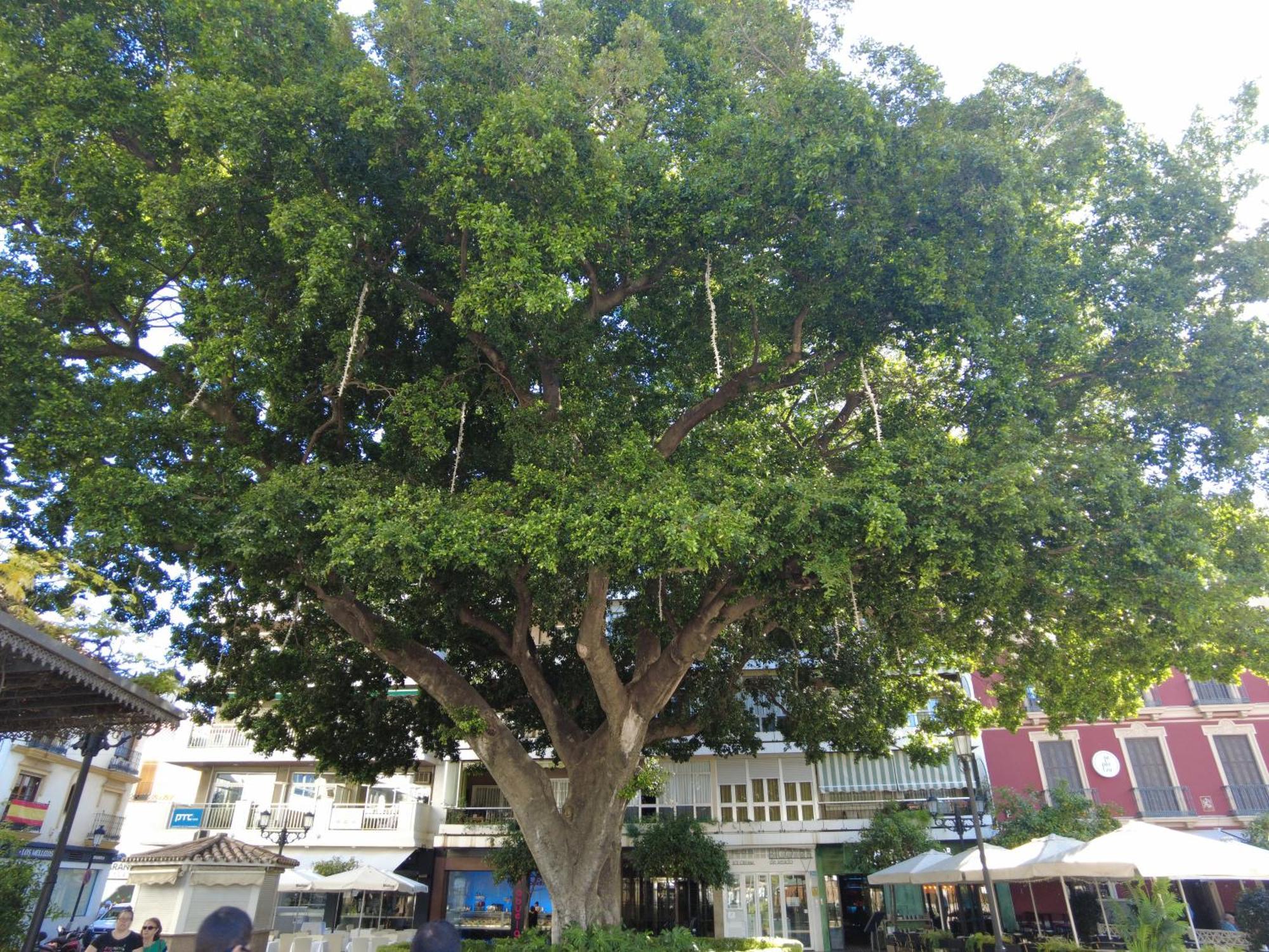Fuengirola Center Sweet&Beach מראה חיצוני תמונה